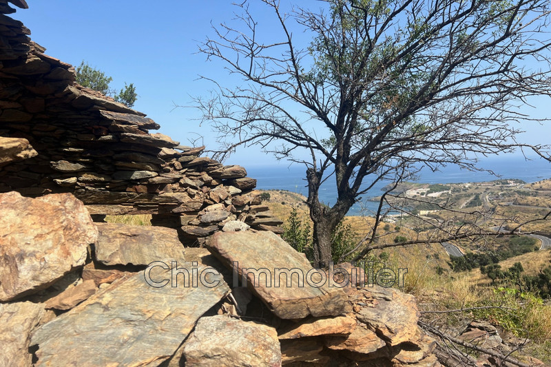 Vente terrain agricole Banyuls-sur-Mer  