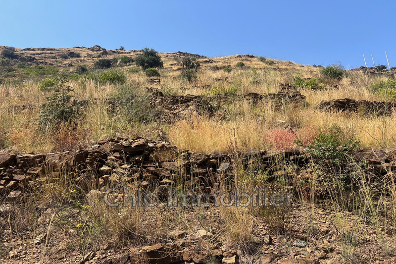 Vente terrain agricole Banyuls-sur-Mer  