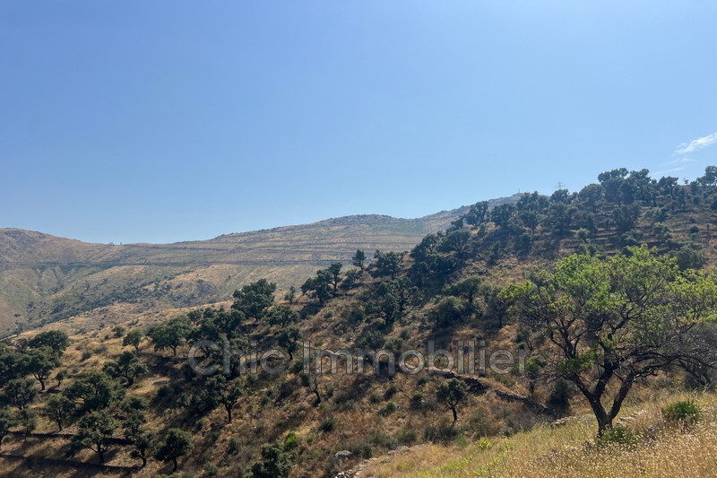 Vente terrain agricole Banyuls-sur-Mer  