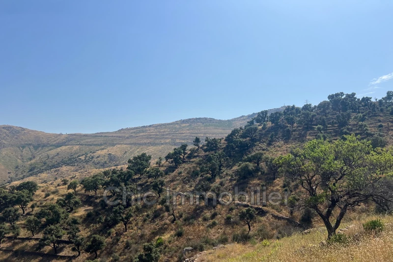 Vente terrain agricole Banyuls-sur-Mer  