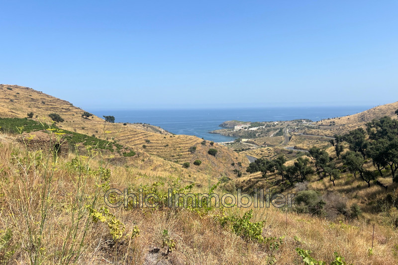 Vente terrain agricole Banyuls-sur-Mer  