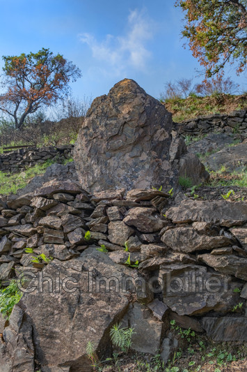 Vente terrain agricole Banyuls-sur-Mer  