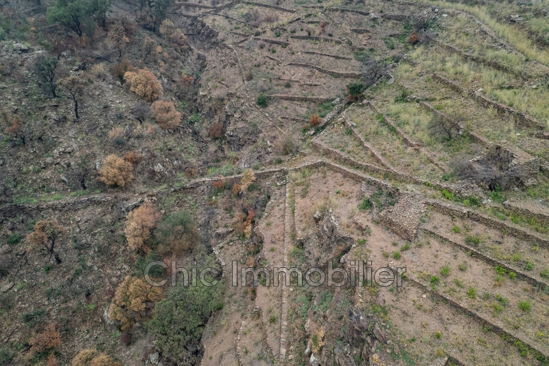 Vente terrain agricole Banyuls-sur-Mer  