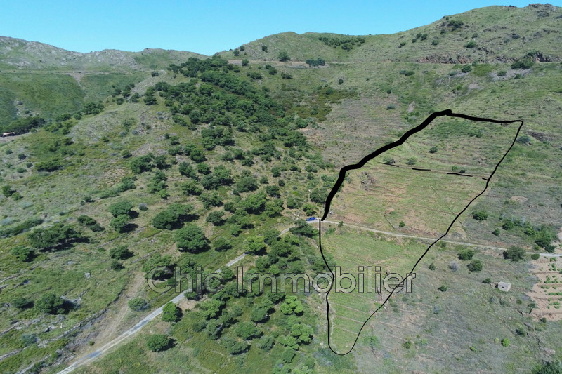 Vente terrain agricole Banyuls-sur-Mer  