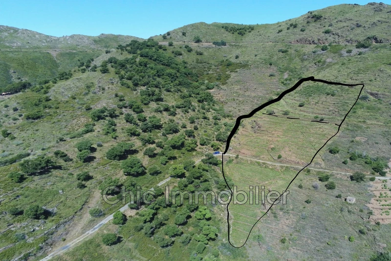 Vente terrain agricole Banyuls-sur-Mer  