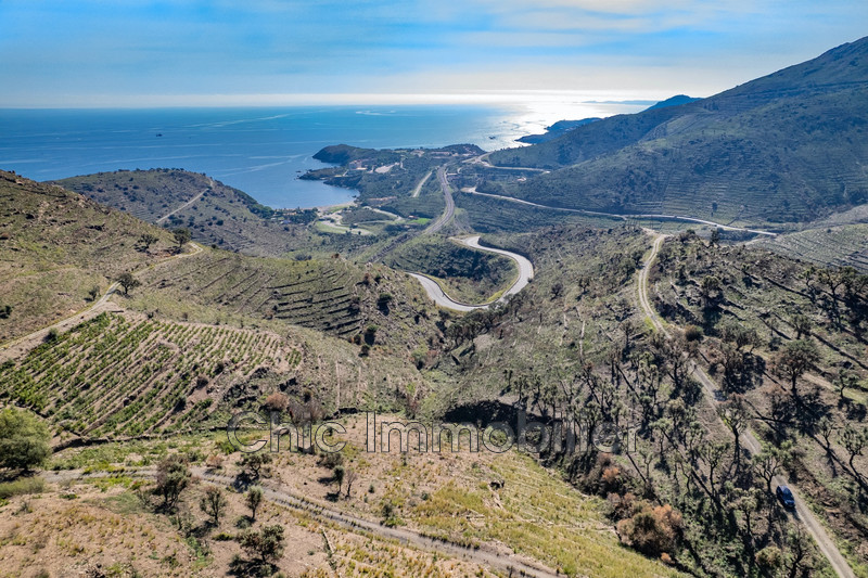 Vente terrain agricole Banyuls-sur-Mer  