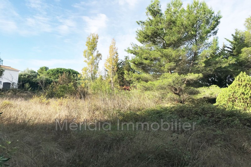 Vente terrain à bâtir Perpignan  