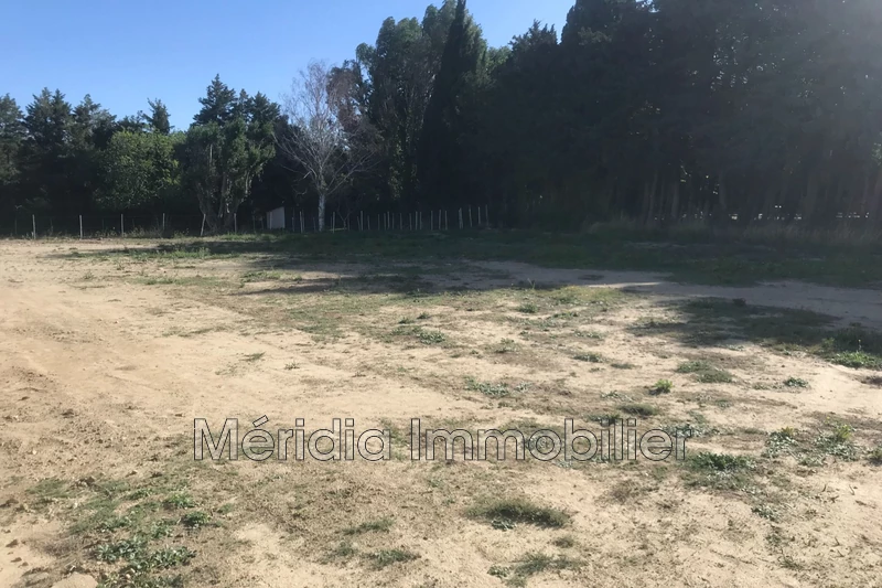Vente terrain à bâtir Millas  