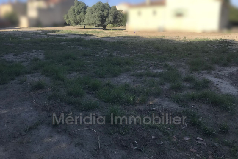 Vente terrain à bâtir Millas  