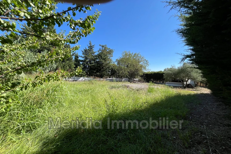 Vente terrain agricole Corneilla-la-Rivière  