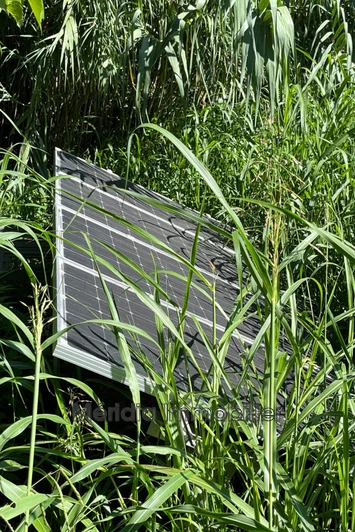 Vente terrain agricole Corneilla-la-Rivière  