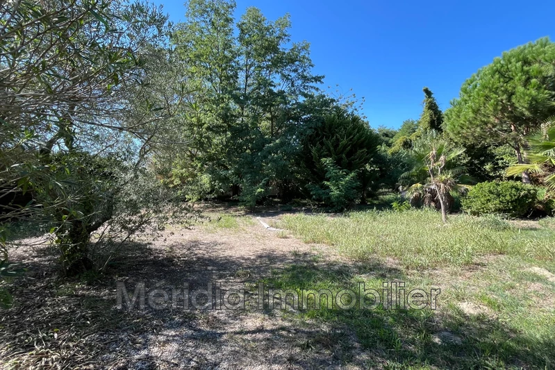 Vente terrain agricole Corneilla-la-Rivière  