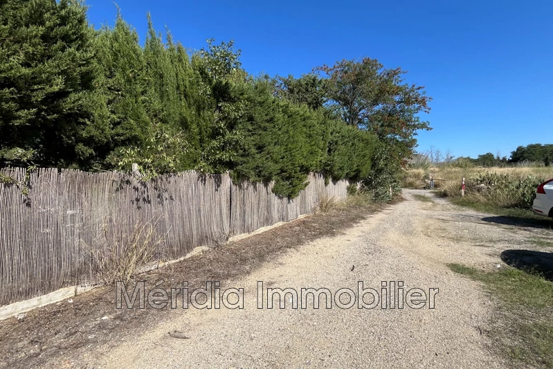 Vente terrain agricole Corneilla-la-Rivière  