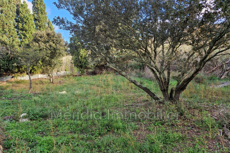 Vente maison de village Planèzes  