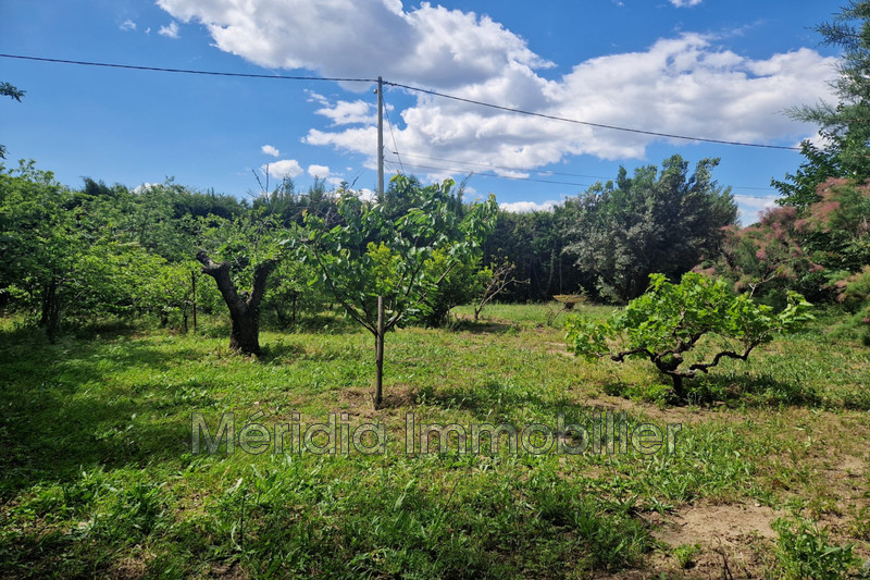 Vente villa Saint-Féliu-d'Avall  