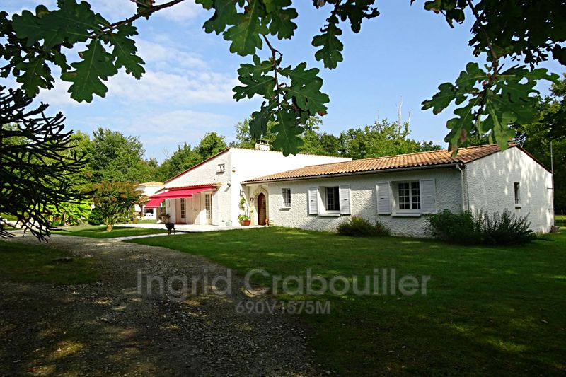 Photo Propriété Vaux-sur-Mer achat propriété 4 chambres 210 m²