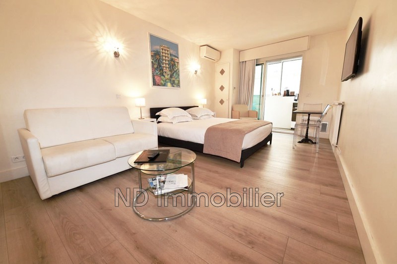 vente Appartement Cannes Carre d'or banane Appartement Cannes Carre d'or banane, achat appartement 1 pièce 29 m²