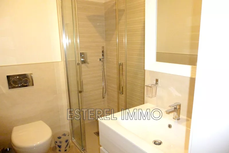 Location saisonnière appartement Théoule-sur-Mer  