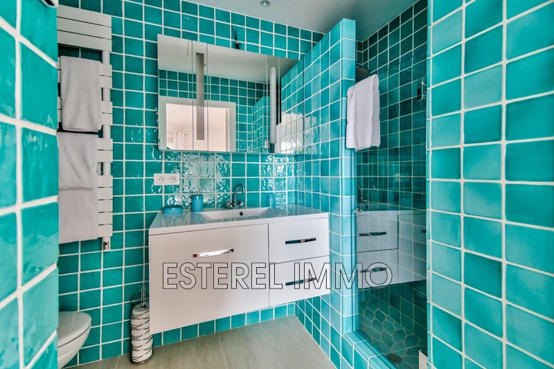 Location saisonnière appartement Théoule-sur-Mer  