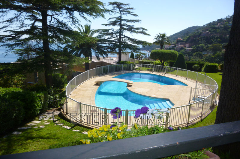 Photo Apartment Théoule-sur-Mer Proche village, to buy apartment 1 room 37 m²