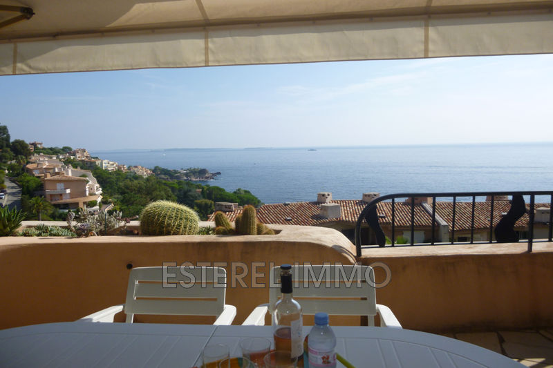 Photo Apartment Théoule-sur-Mer Port la galère, to buy apartment 80 m²