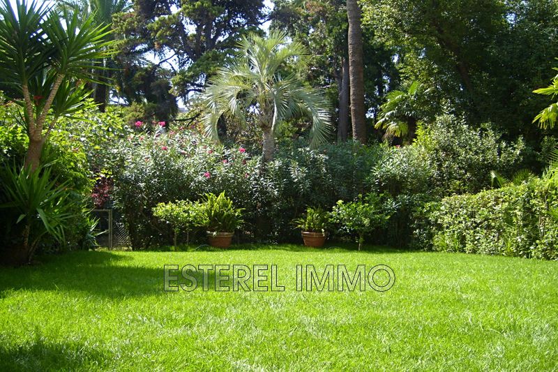 vente Appartement Cannes Cannes Appartement Cannes Cannes, achat appartement
