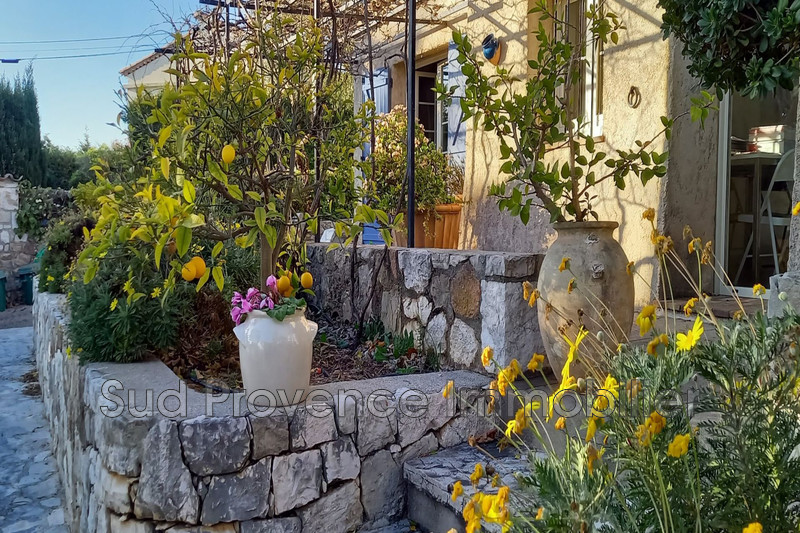 Photo Maison de caractère Antibes Proche  centre ville,   achat maison de caractère  5 chambres   244&nbsp;m&sup2;