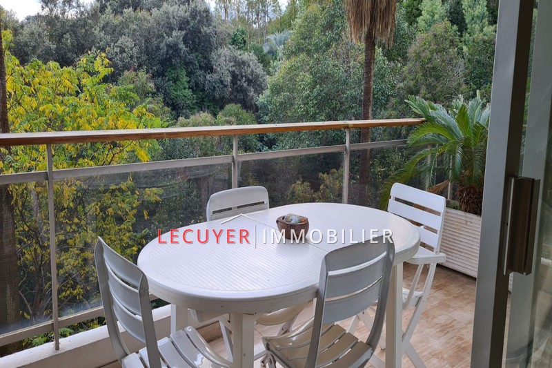 Photo Apartment Golfe-Juan Basse californie, to buy apartment 2 rooms 53 m²