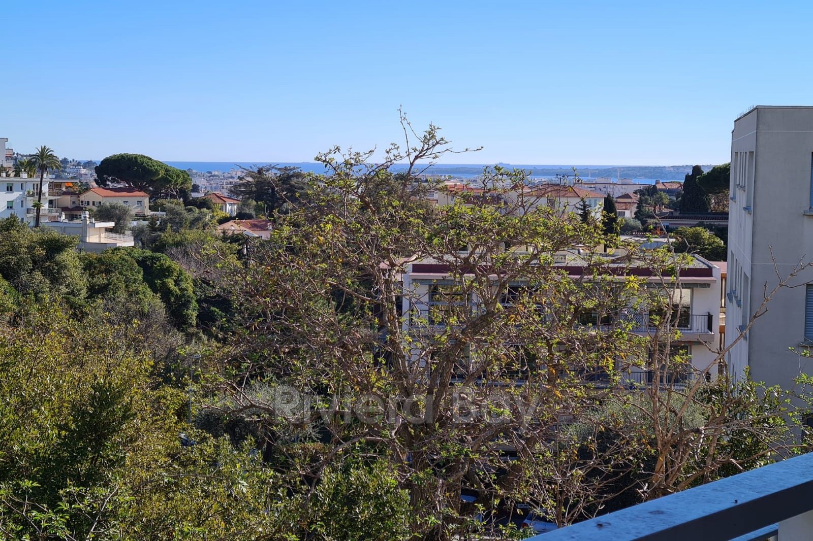 Photo Apartment Cannes Carnot,   to buy apartment  2 rooms   60&nbsp;m&sup2;