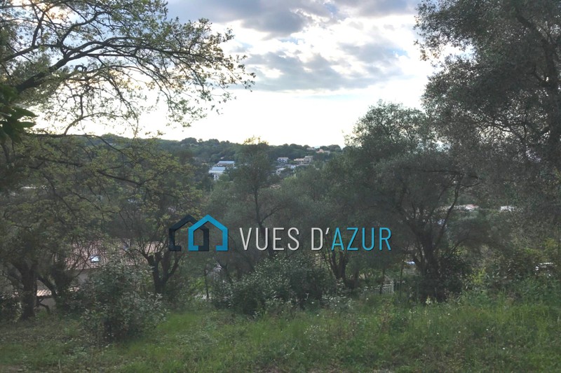 Photo Terrain Vallauris achat terrain 1100 m²
