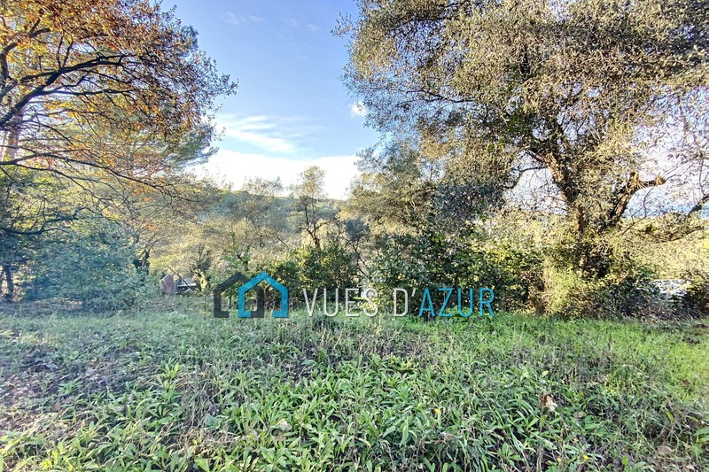 Photo Terrain Vallauris to buy terrain 1100 m²