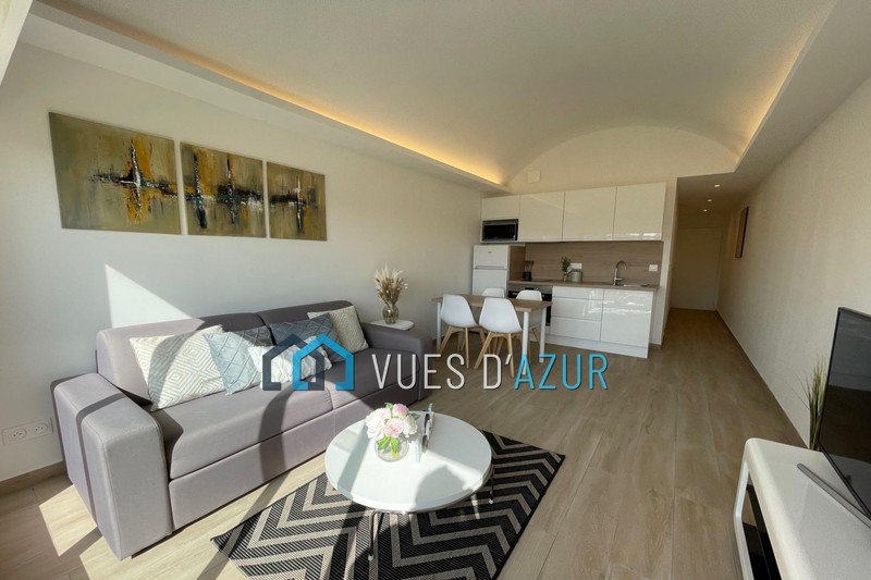 appartement  2 pièces  Antibes   30 m² -   