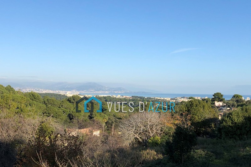 Photo Terrain Vallauris achat terrain 1504 m²