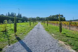 Vente maison Oppède  