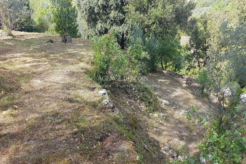 Photo n°3 - Vente terrain Callas 83830 - 89 000 €