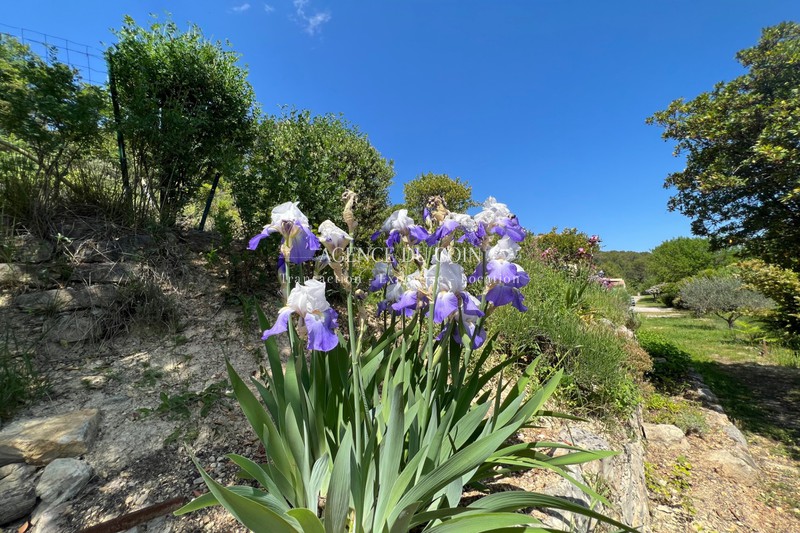 Photo n°17 - Vente maison Flayosc 83780 - 475 000 €