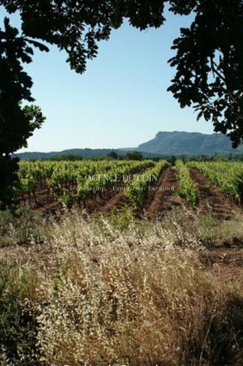 Photo Terrain La Motte Campagne, achat terrain 1000 m²