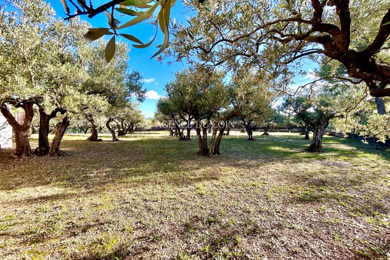 Vente propriété Draguignan  