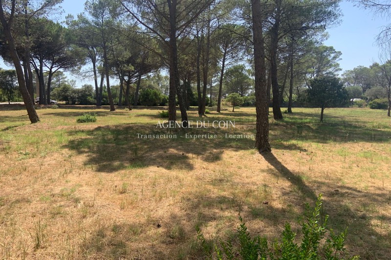 Vente terrain Puget-sur-Argens Vente terrain Puget-sur-Argens