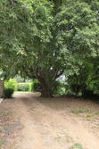 Vente domaine viticole Grimaud  