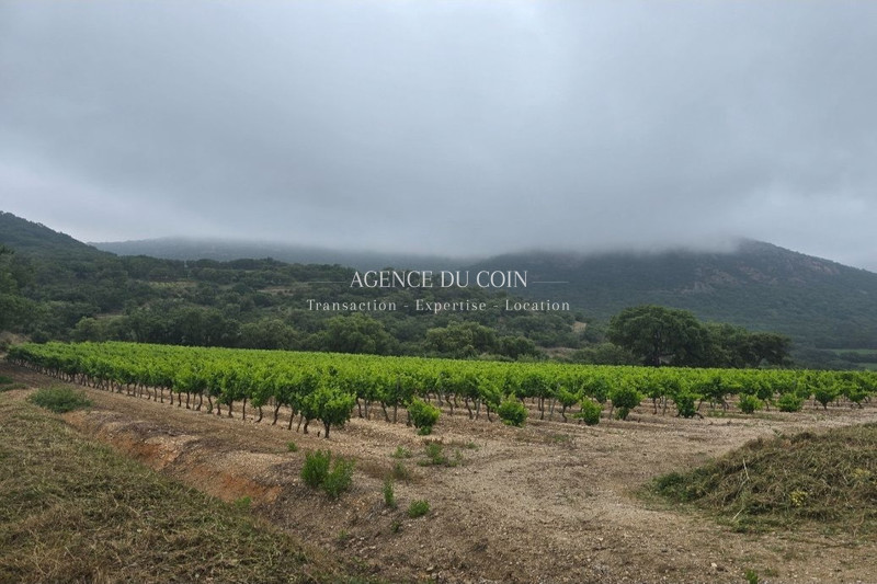 Vente domaine viticole Grimaud Vente domaine viticole Grimaud