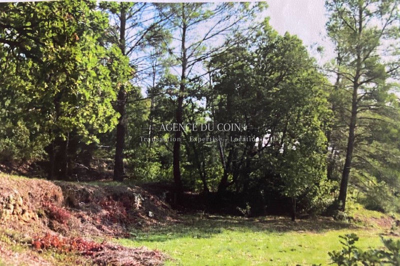 Photo Land Lorgues Campagne, to buy land 1257 m²