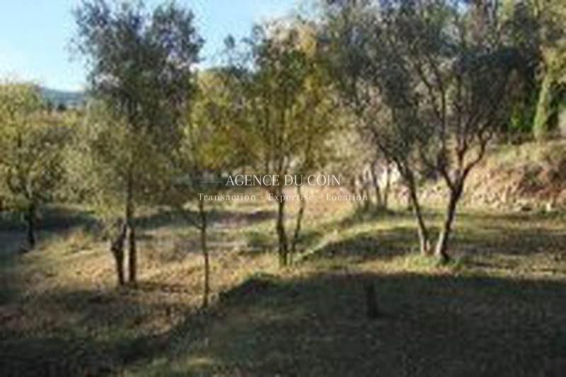 Vente terrain Callas Vente terrain Callas