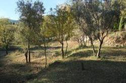 Photos Terrain à vendre Callas 83830