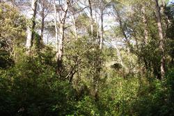 Photos Terrain non constructible à vendre Lorgues 83510