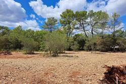 Photos Terrain à bâtir à vendre Lorgues 83510