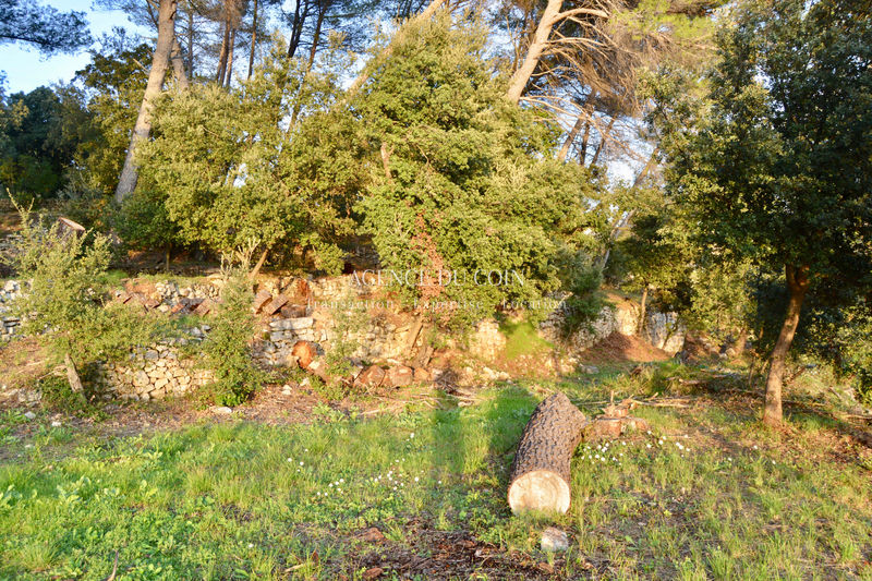 Photo Terrain Draguignan achat terrain 1204 m²