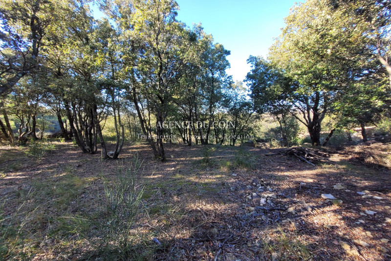 Photo n°10 - Vente terrain Tourtour 83690 - 146 000 €