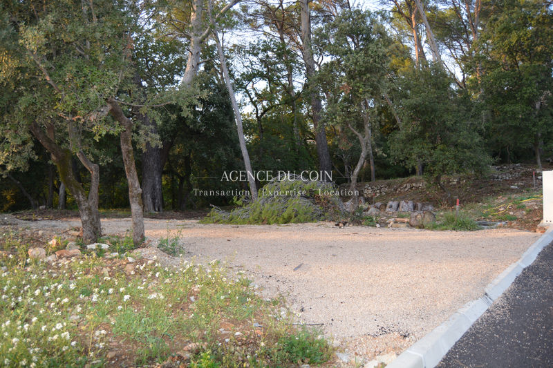 Photo Terrain Draguignan achat terrain 1200 m²