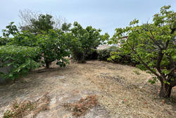 Vente terrain Roquebrune-sur-Argens  